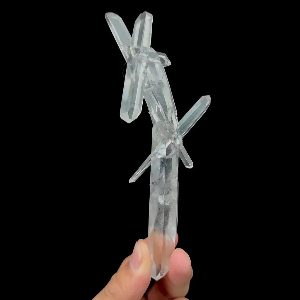 specimen video