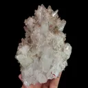 specimen video