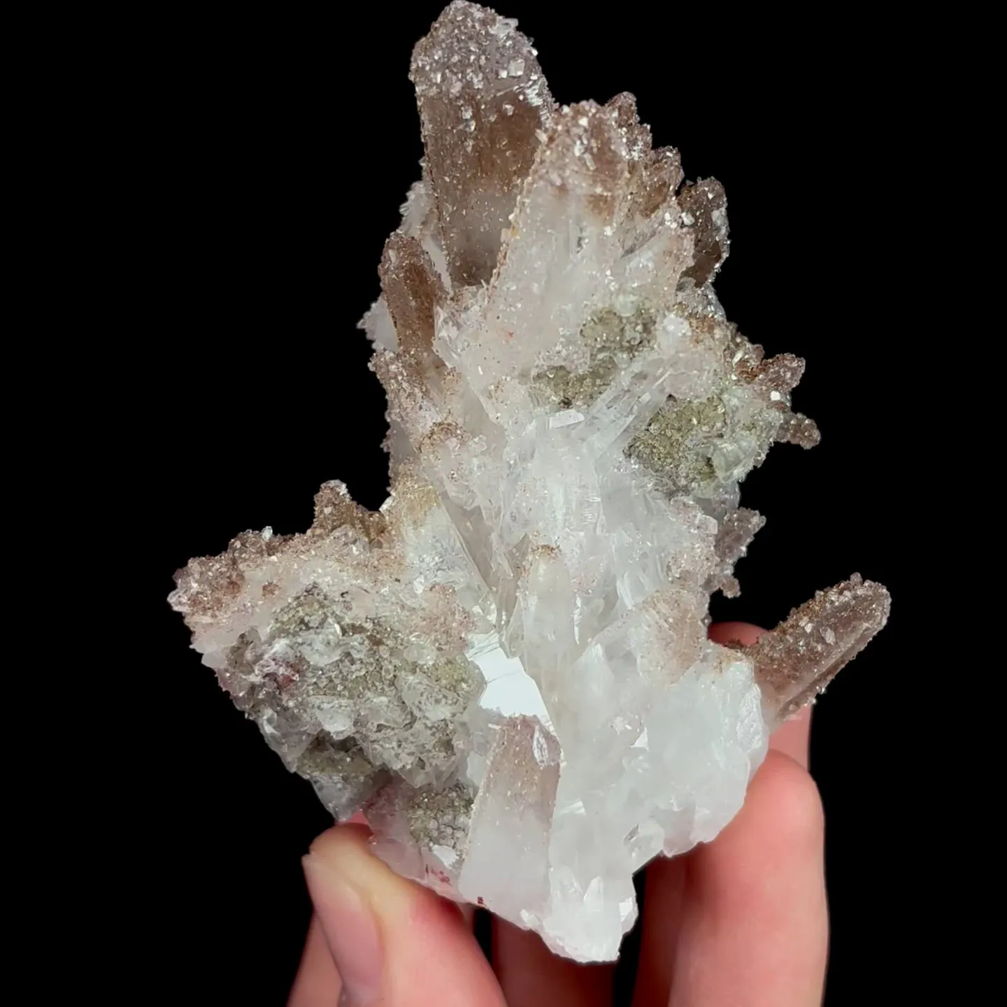 specimen video
