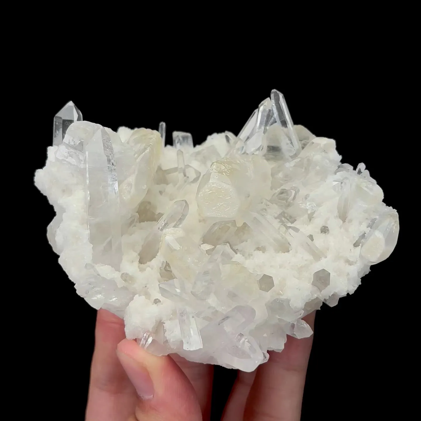 specimen video