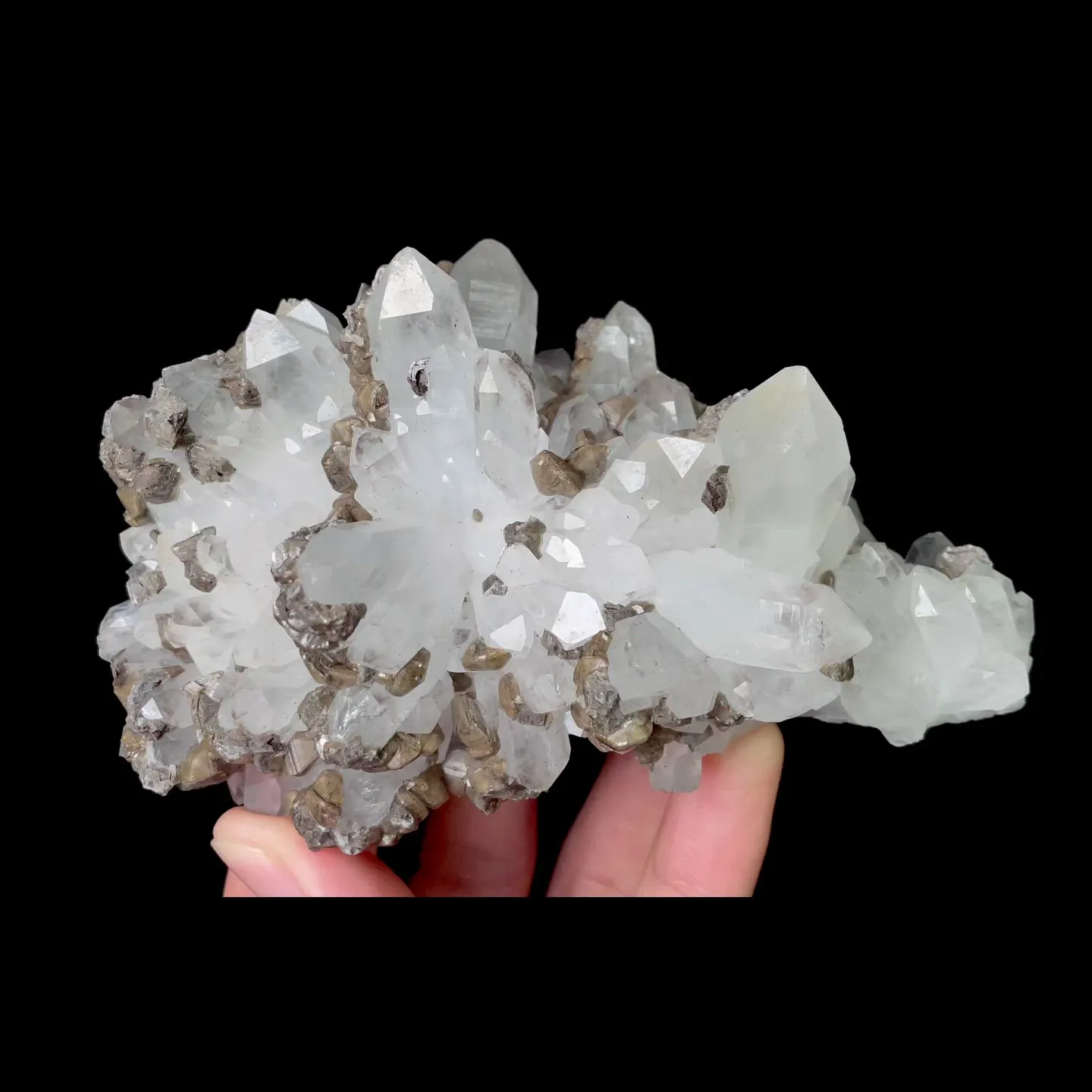 specimen video