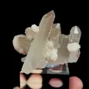 specimen video