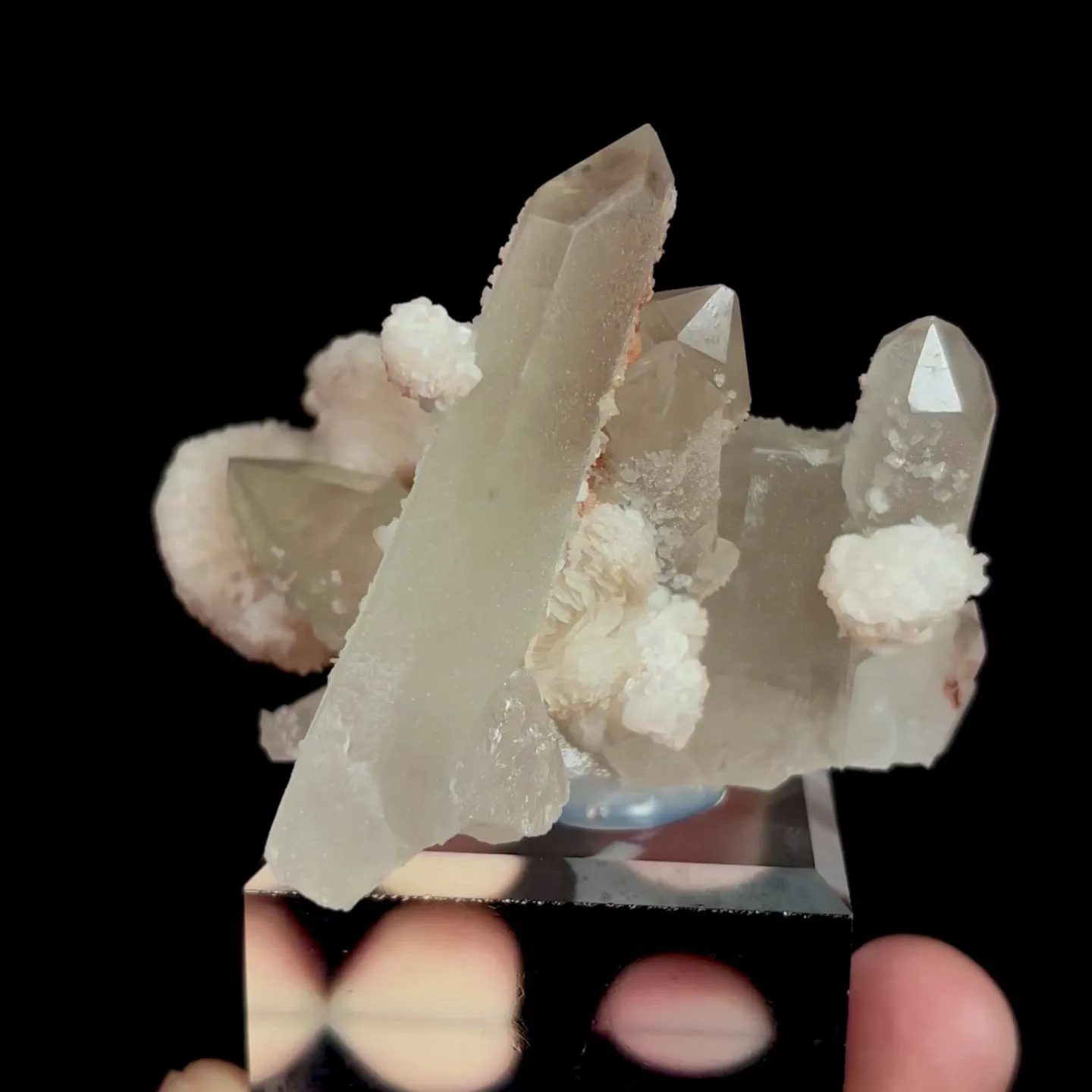 specimen video