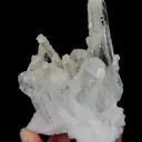 specimen video