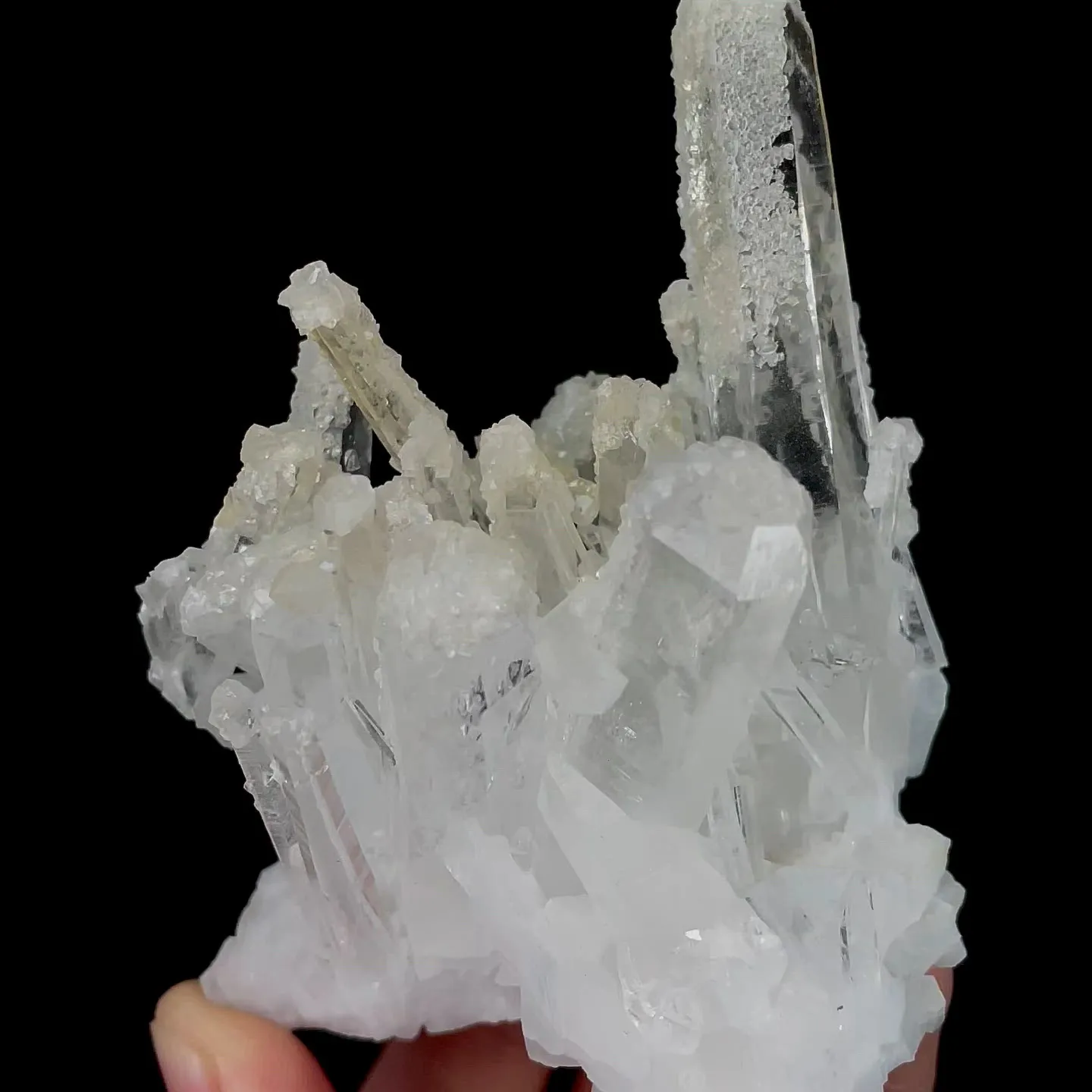 specimen video