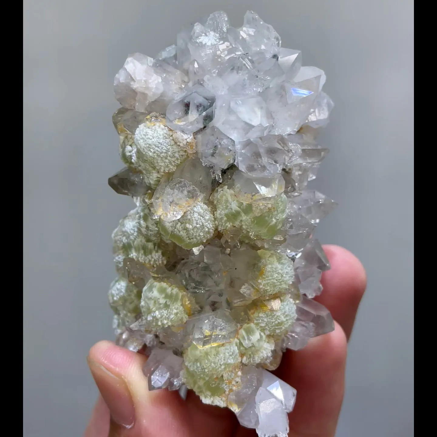 specimen video