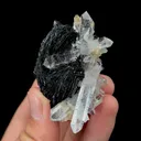Natural Clear Quartz Cluster and Specularite Mineral Specimen,High Quality Specimen,JINLONG,GUANGDONG,CHINA(55*35*35mm) - image 2