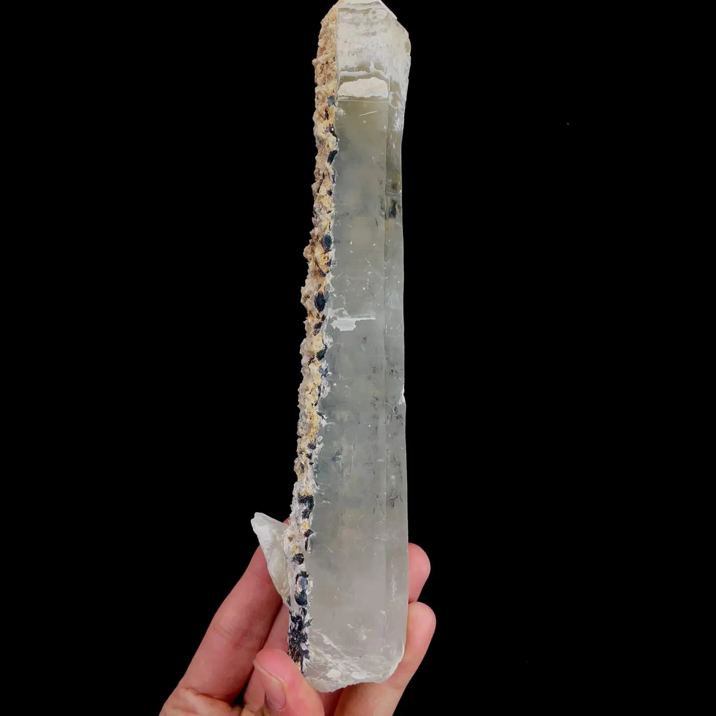 specimen video
