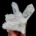 specimen video