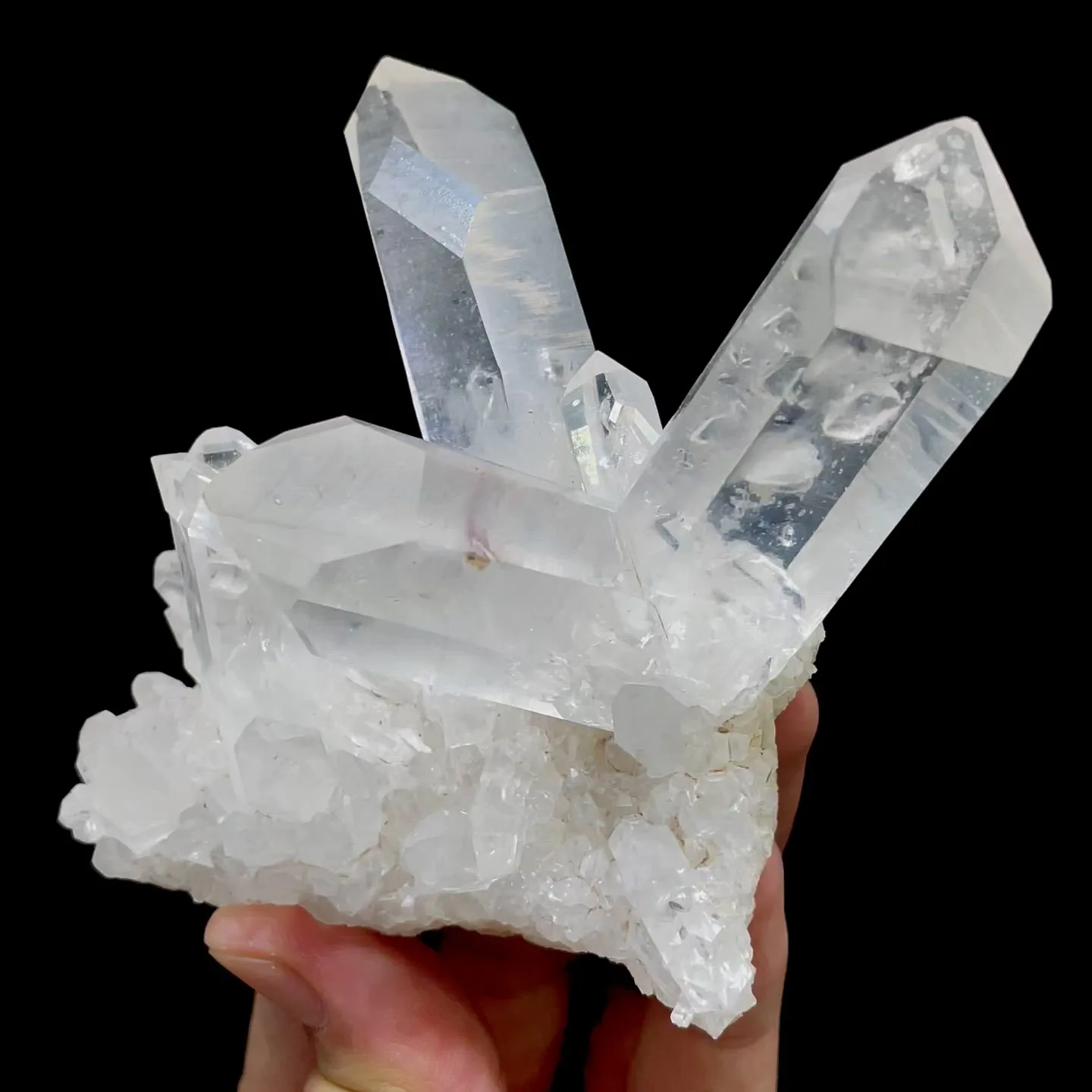 specimen video