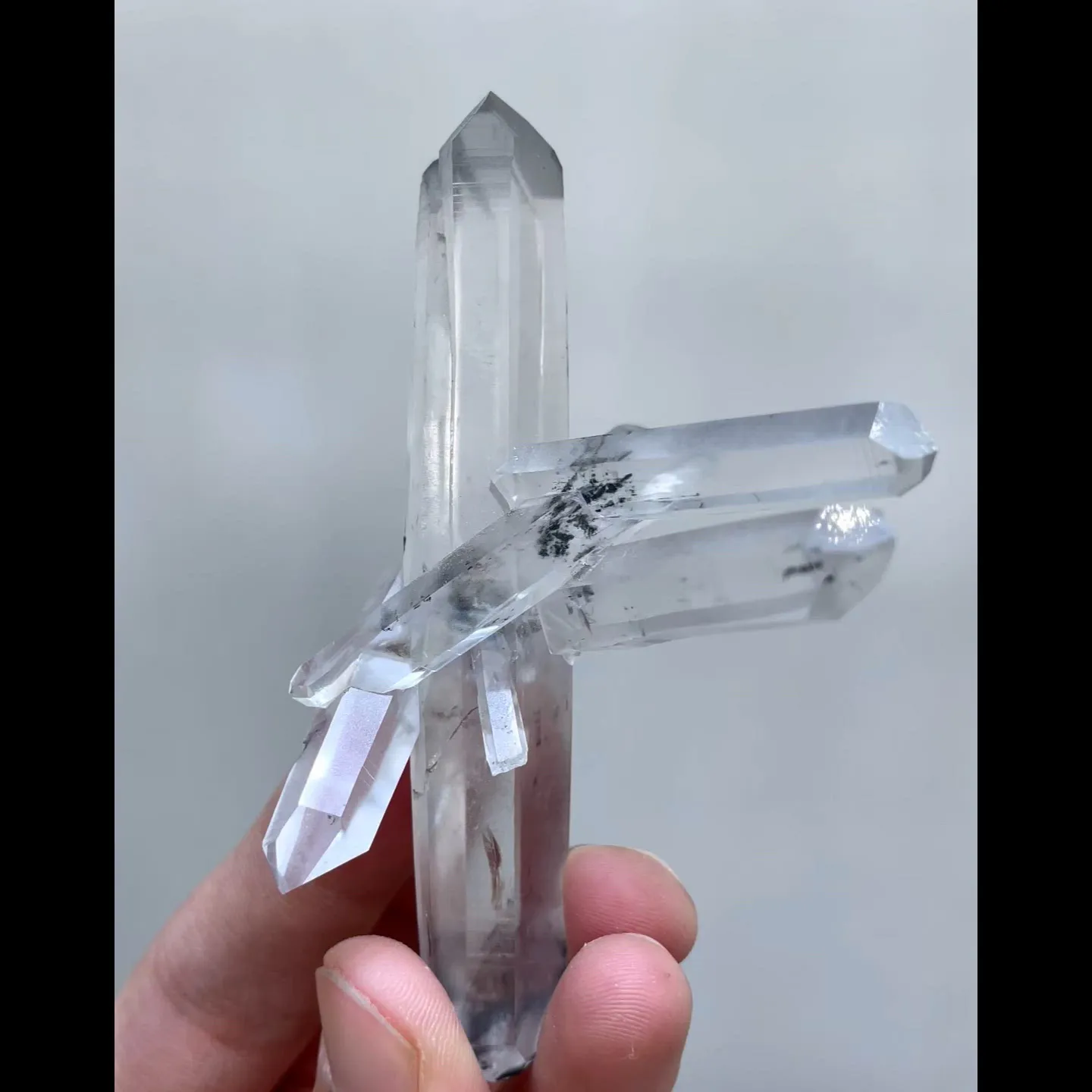 specimen video