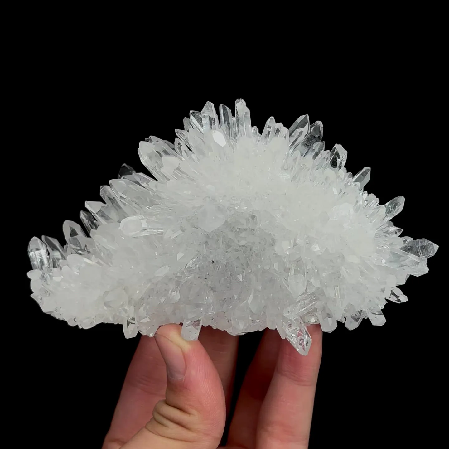specimen video