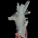specimen video