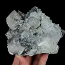 specimen video