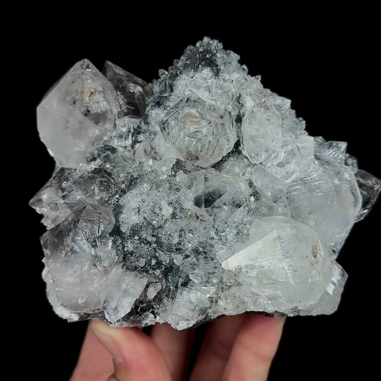 specimen video
