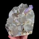 specimen video