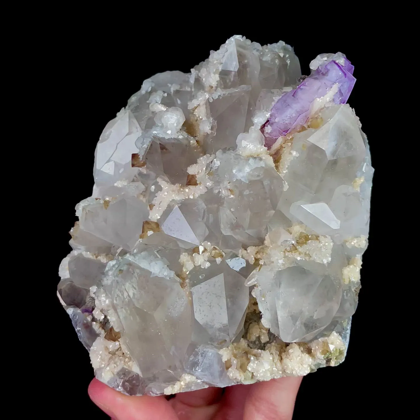 specimen video