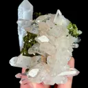 specimen video
