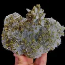 specimen video