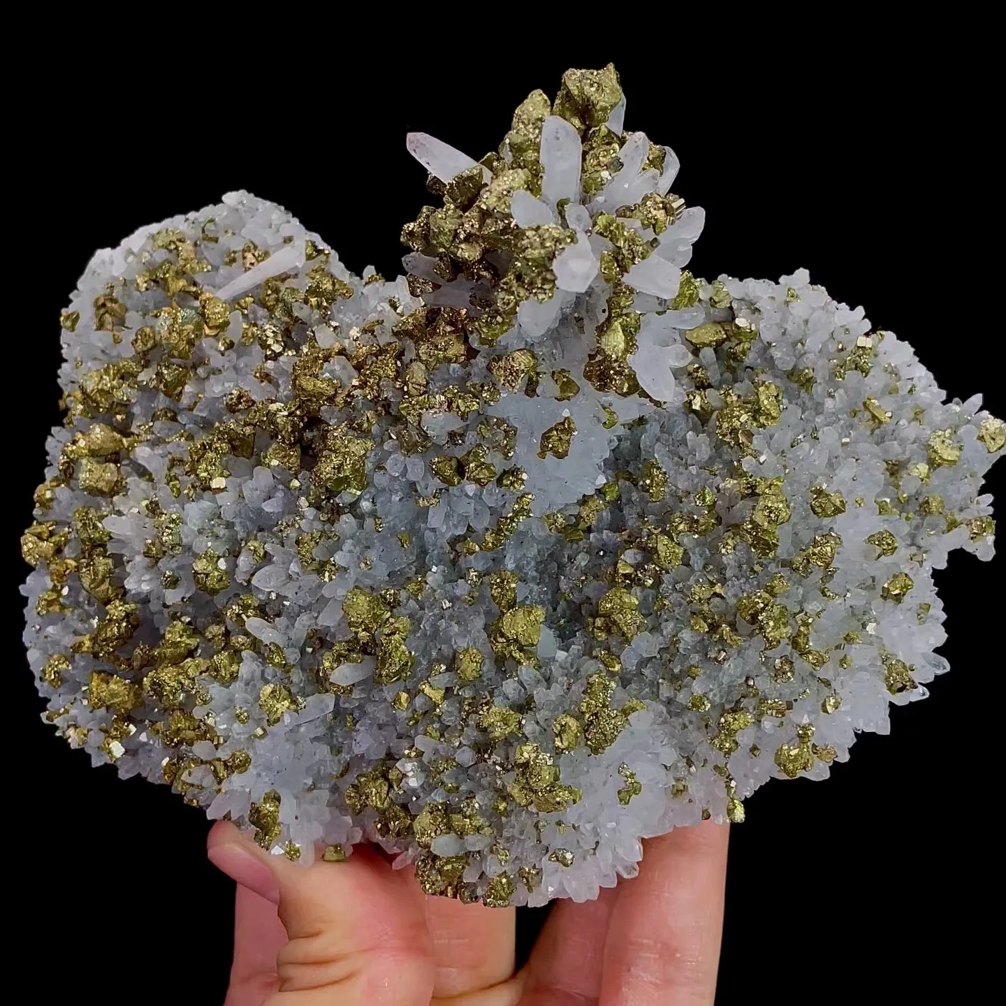 specimen video