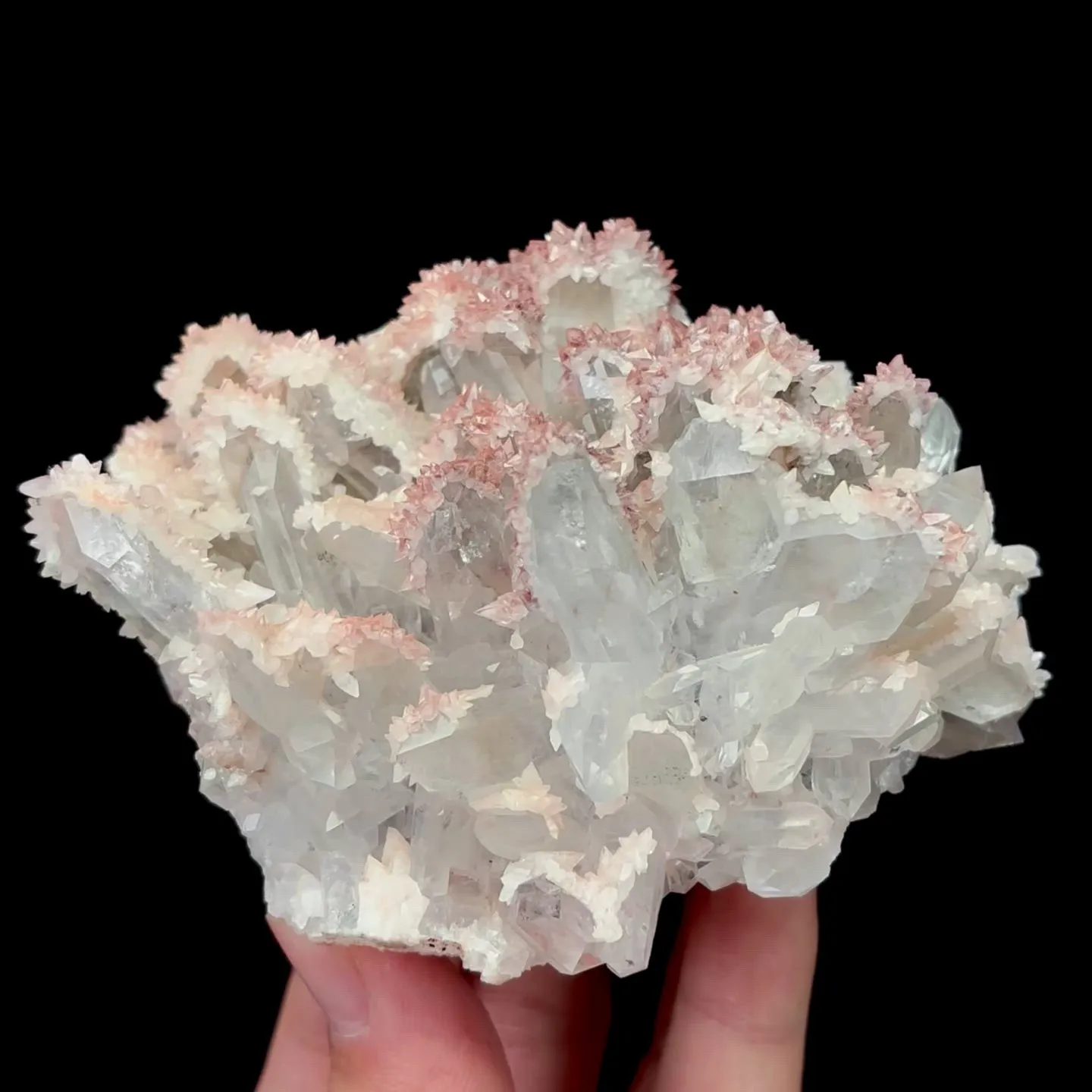 specimen video