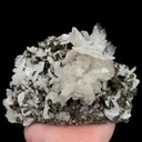 specimen video