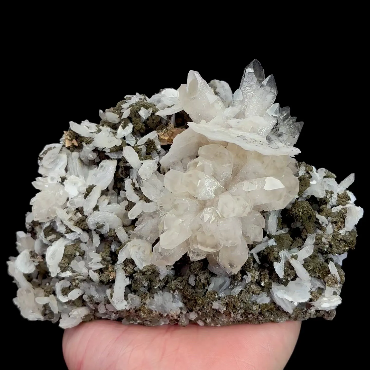 specimen video