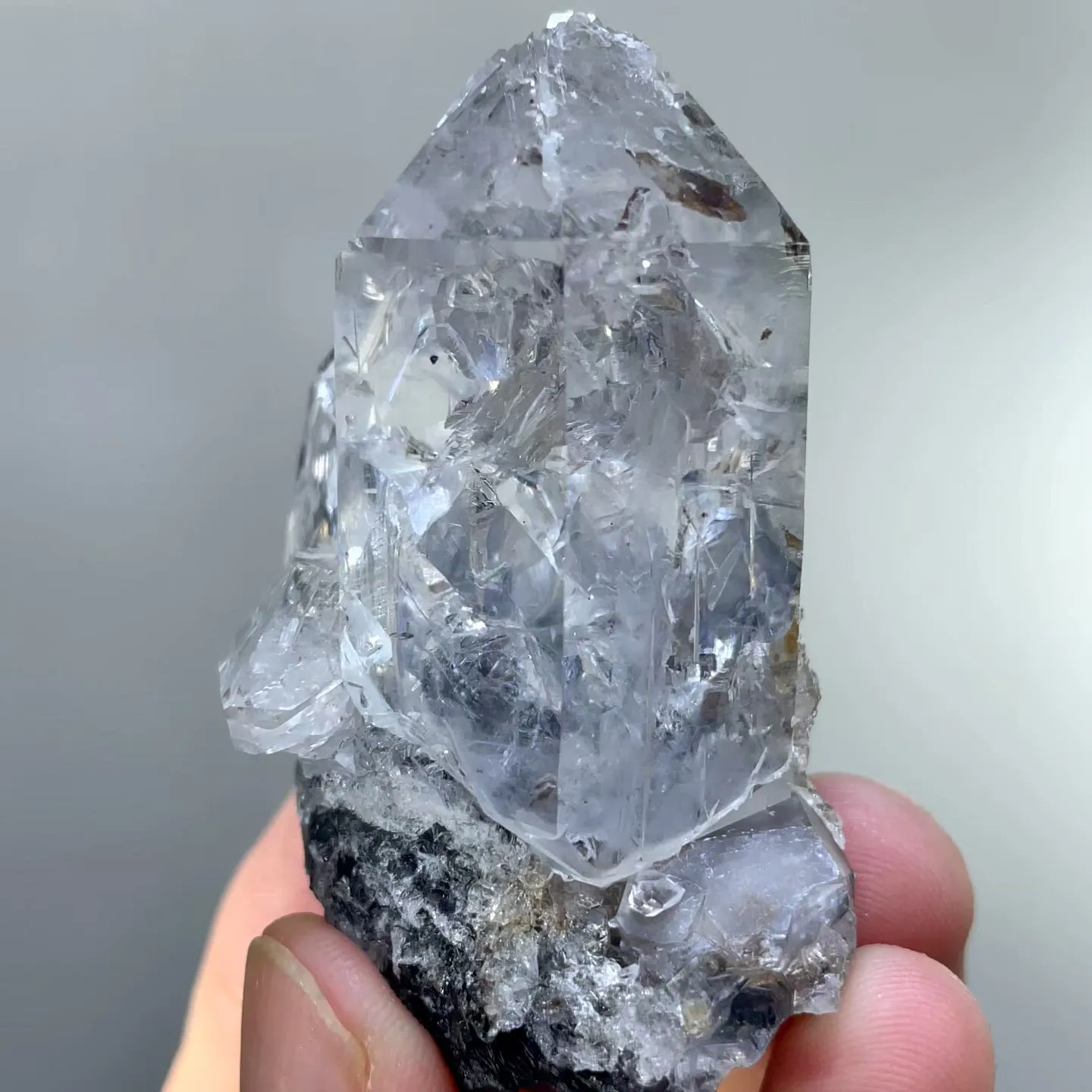 specimen video