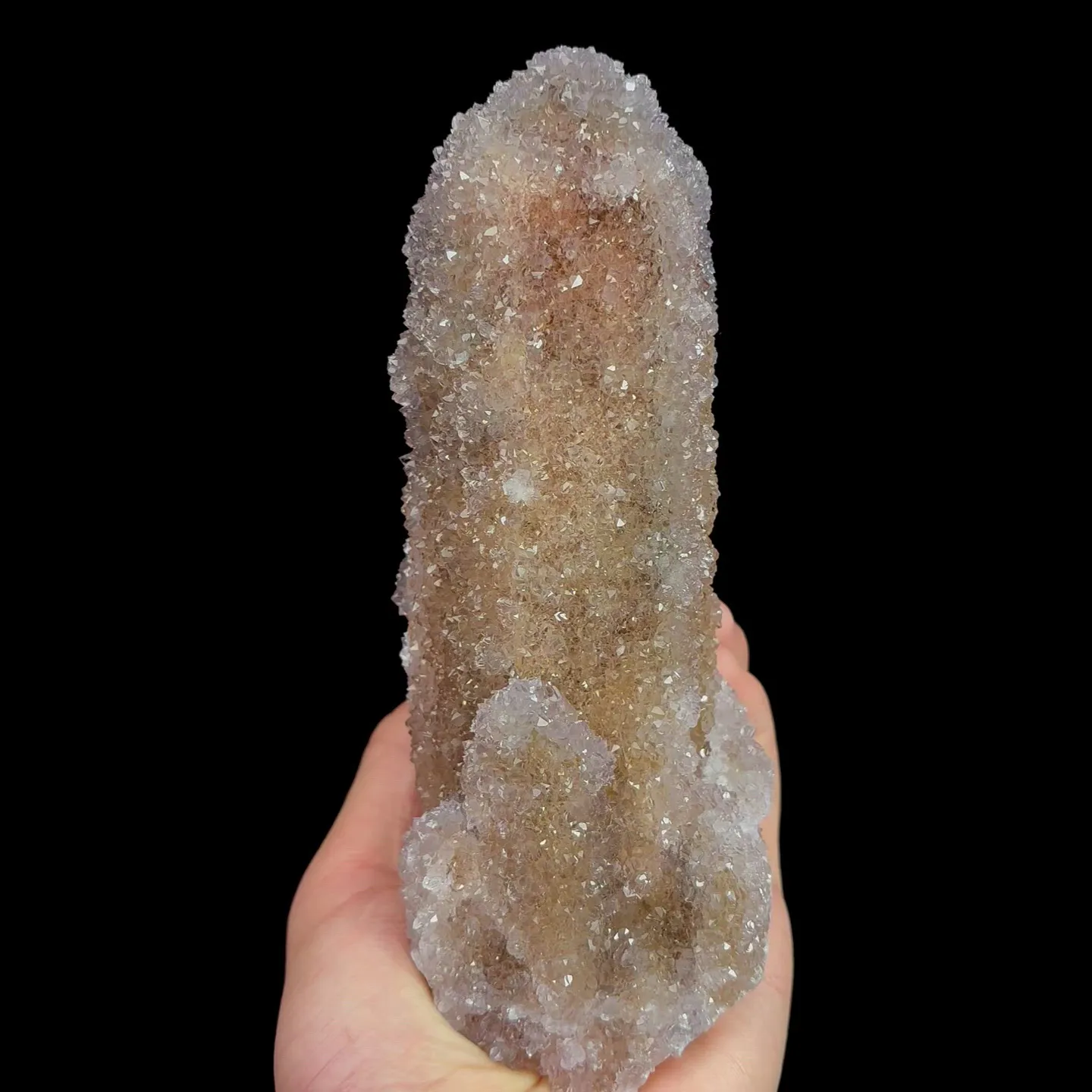 specimen video