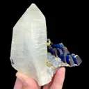 specimen video