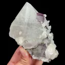 specimen video