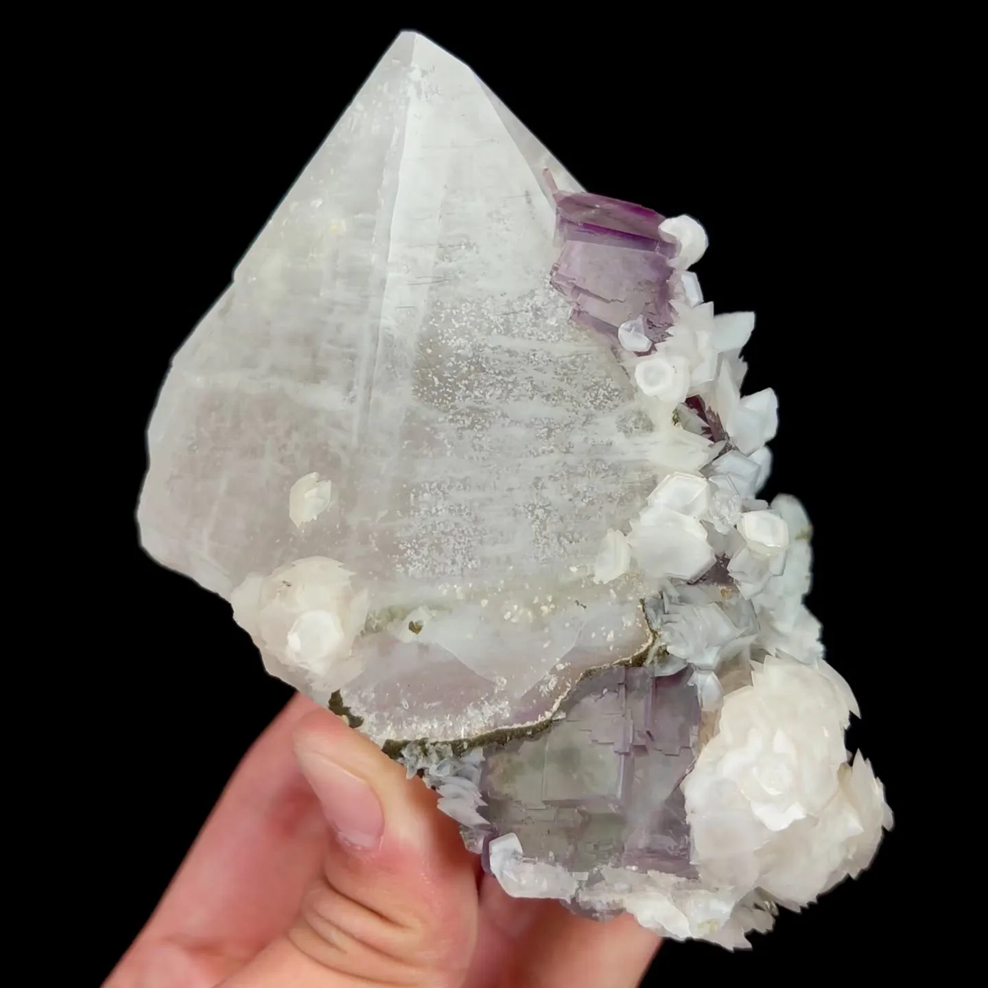 specimen video