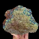 specimen video