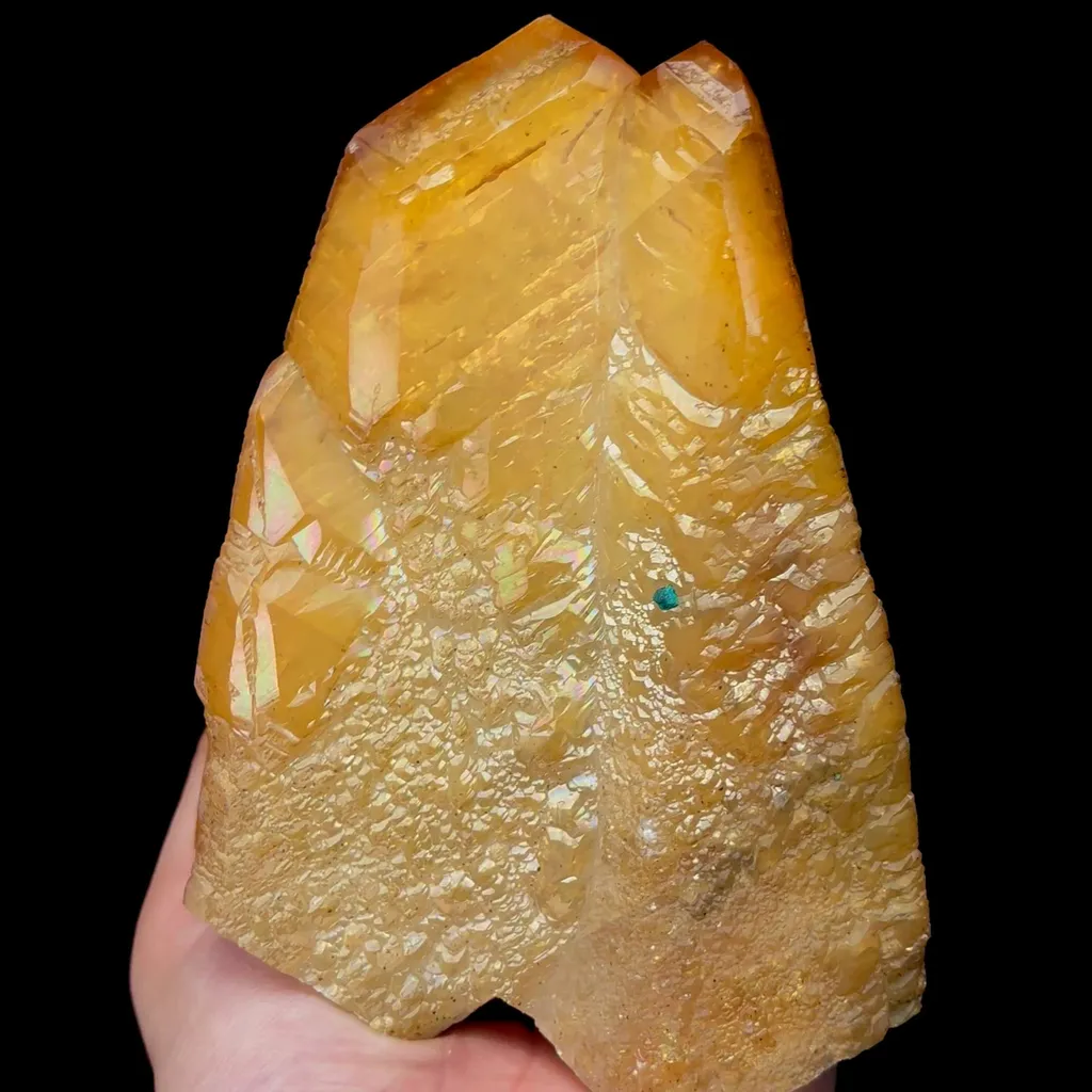 specimen video