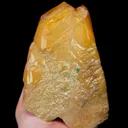 specimen video