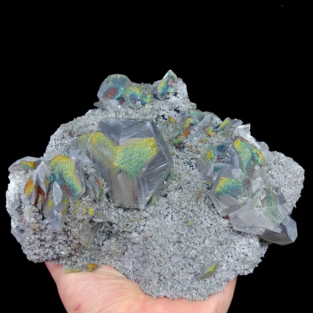specimen video