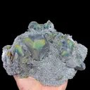 specimen video