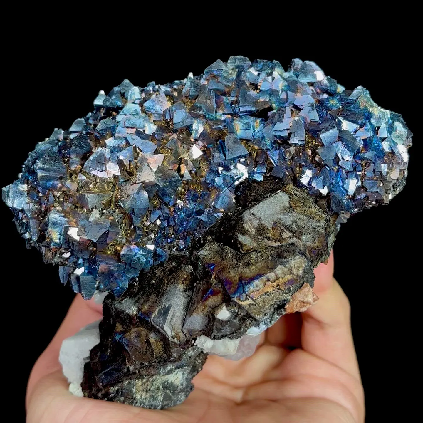 specimen video