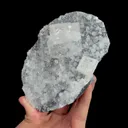 specimen video