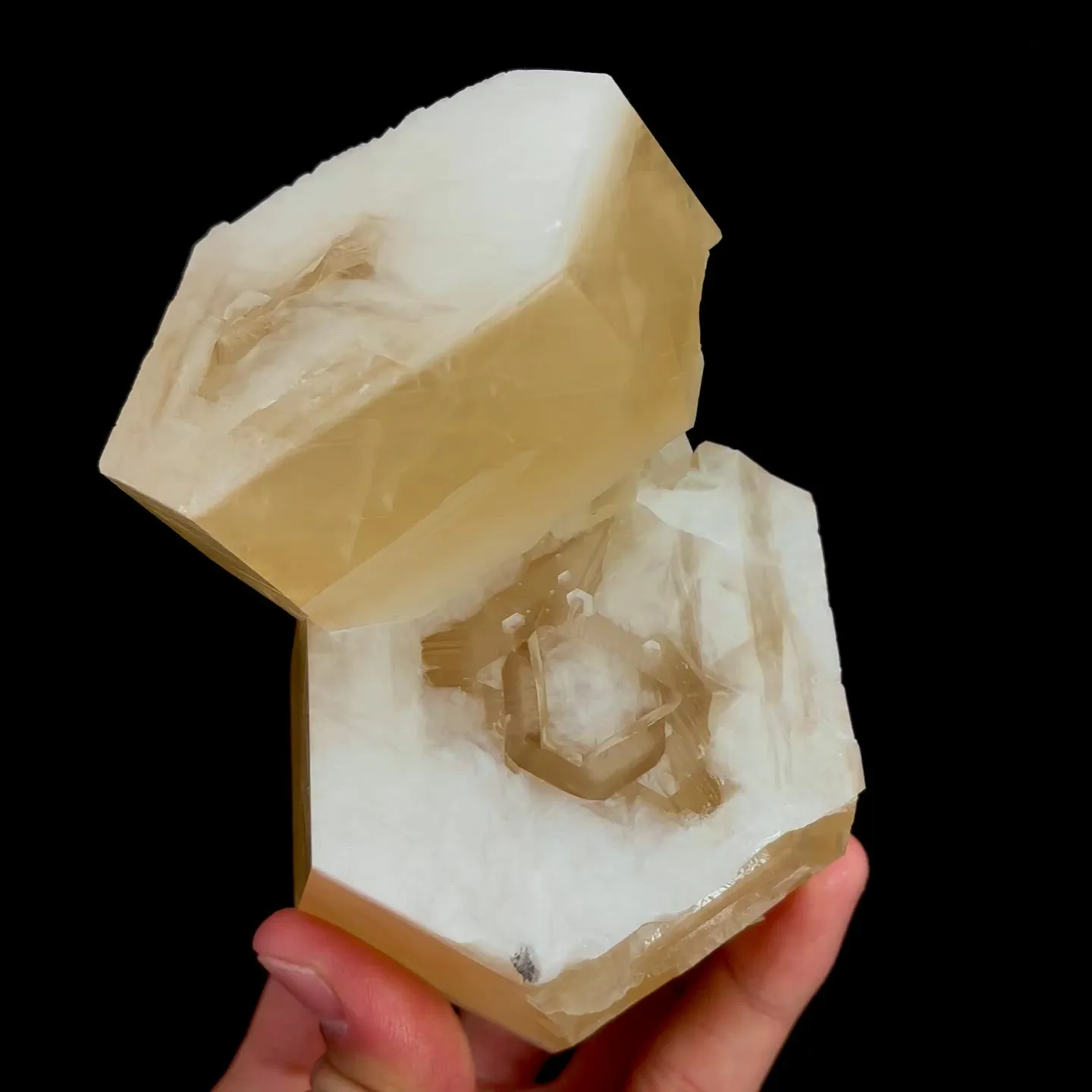 specimen video