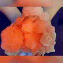 Natural Copper Coin Calcite comes from Fujian,China 170*140*90MM - image 4