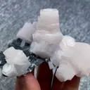 specimen video