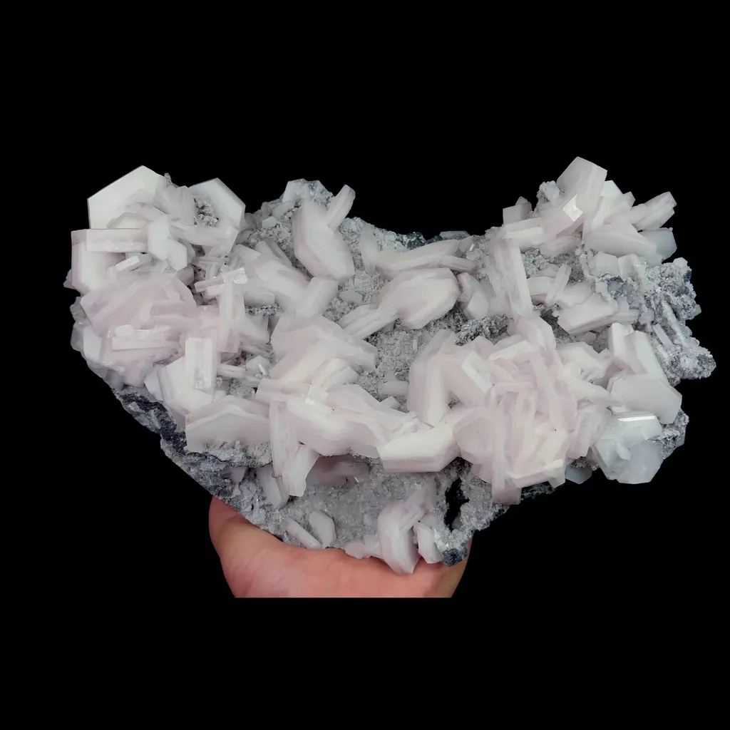 specimen video