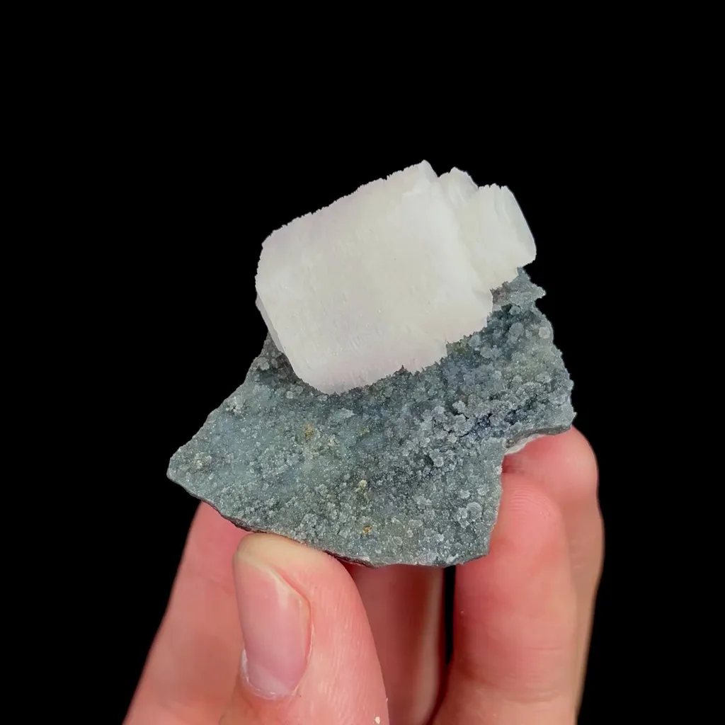 specimen video