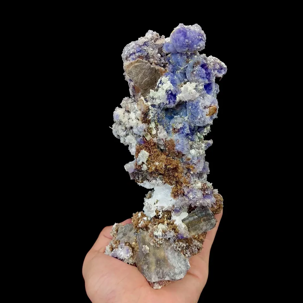 specimen video