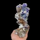 specimen video