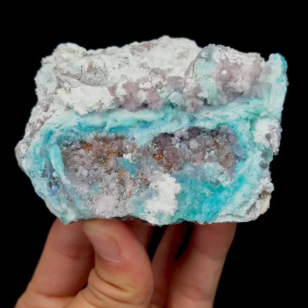 specimen video