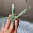 Natural Crossed Green Quartz Tower comes from Inner Mongolia,China 90*100*20MM - image 4