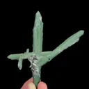 specimen video