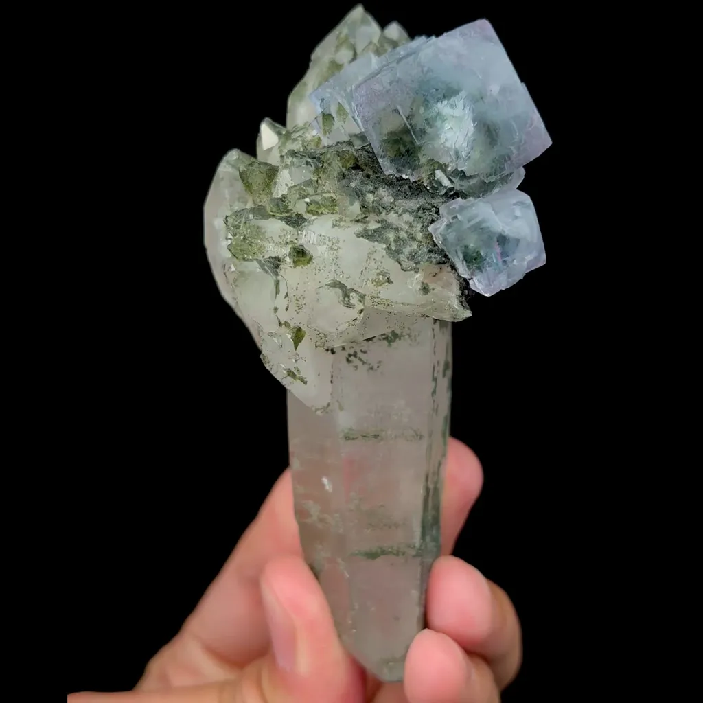 specimen video